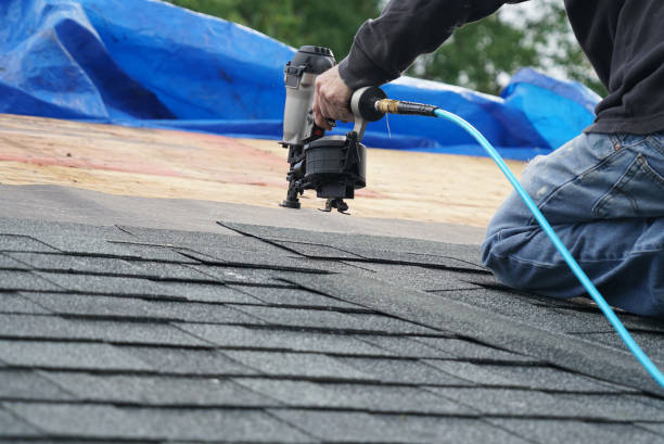 Best Roof Gutter Cleaning  in Ross, OH